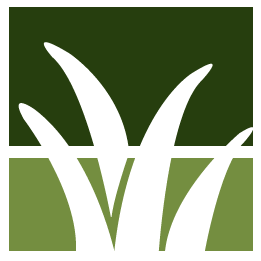 Salt Lake City Lawn Clean Up