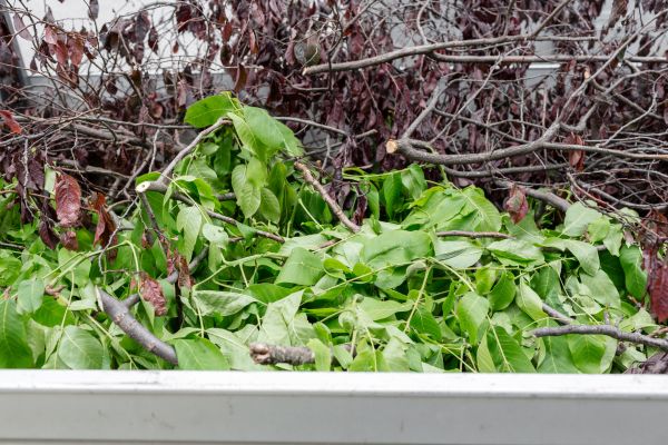 Cost of Brush Pile Removal in Salt Lake City