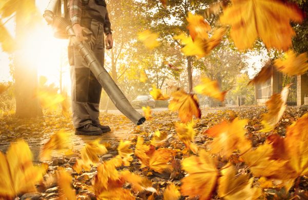 Cost of Leaf Blowing Service in Salt Lake City