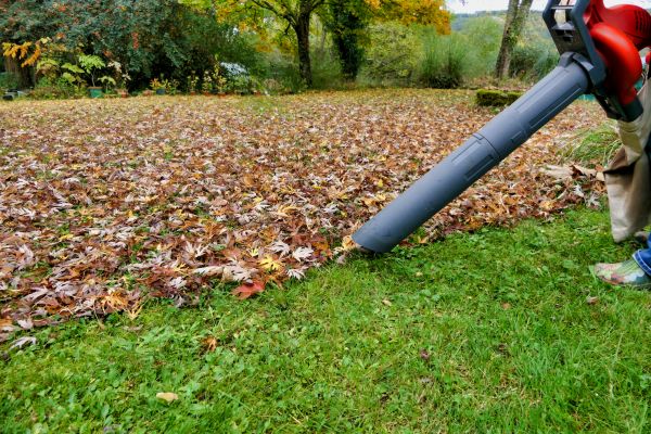 Cost of Leaf Vacuuming Service in Salt Lake City