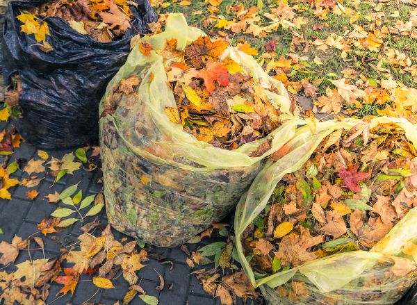 Cost of Yard Cleanup Service in Salt Lake City