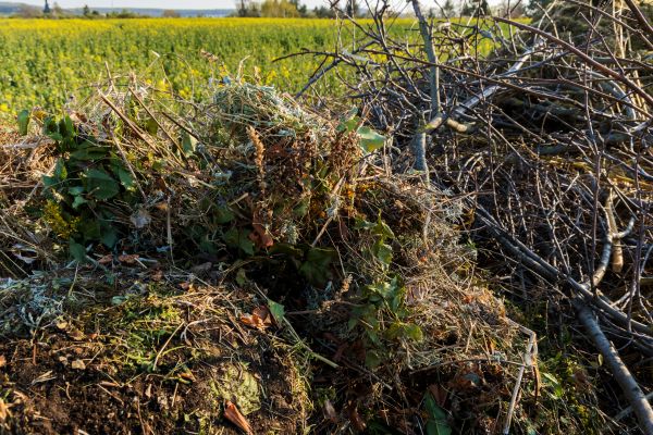 Cost of Brush Disposal in Salt Lake City