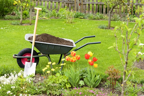 Cost of Spring Yard Cleanup in Salt Lake City