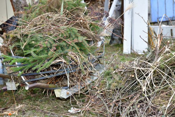 Cost of Yard Waste Removal Service in Salt Lake City