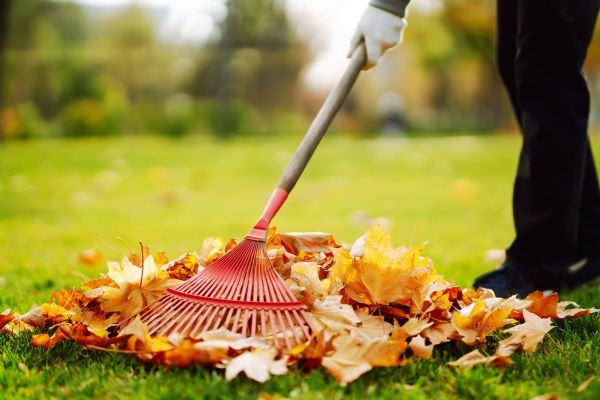 Cost of Ditch Leaf Removal in Salt Lake City