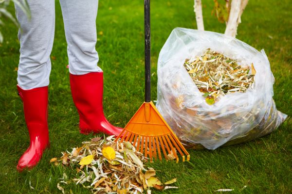 Cost of Leaf Disposal Service in Salt Lake City