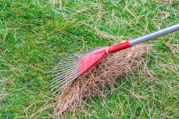 Cost of Yard Raking in Salt Lake City