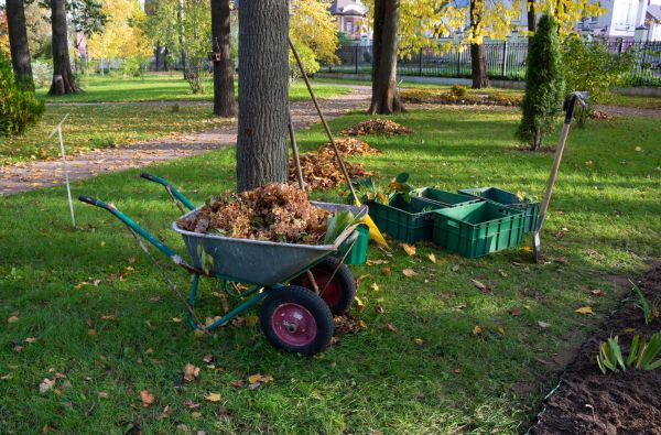 Cost of Leaf Clearing Service in Salt Lake City