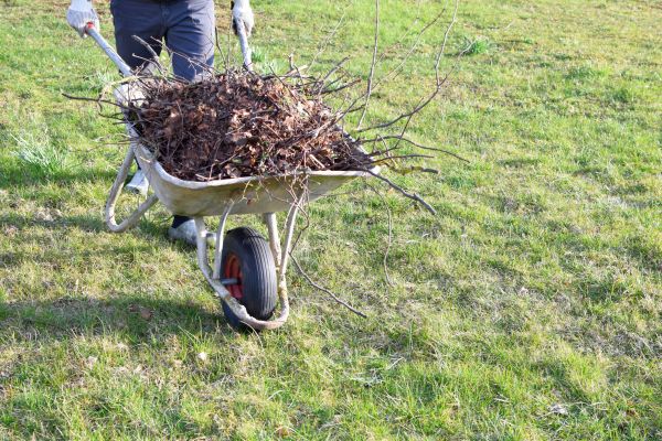Cost of Yard Brush Removal in Salt Lake City