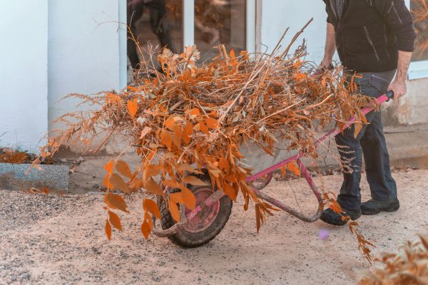Cost of Lawn Debris Cleanup in Salt Lake City