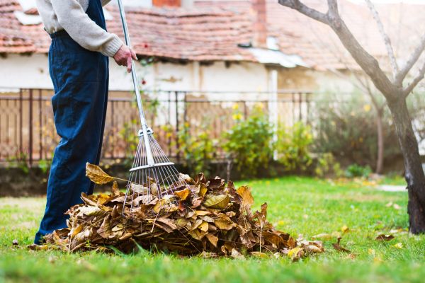 Cost of Spring Lawn Cleanup in Salt Lake City