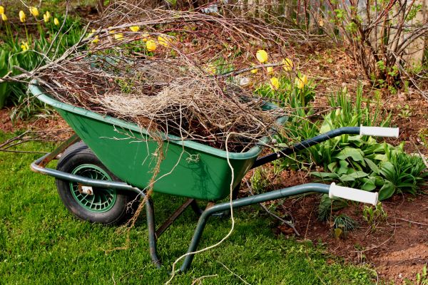 Cost of Lawn Waste Removal in Salt Lake City