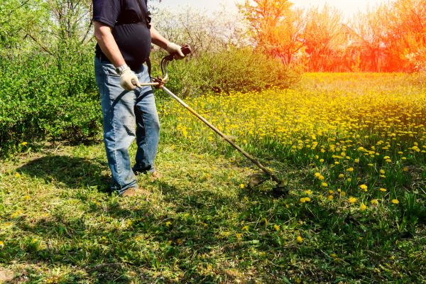 Cost of Yard Clearing Service in Salt Lake City