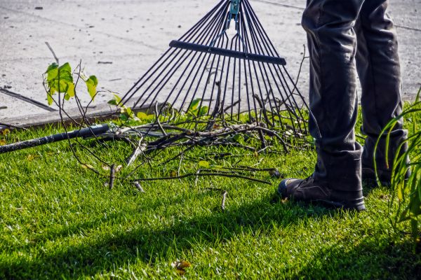 Cost of Yard Debris Cleanup in Salt Lake City