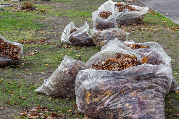 Cost of Leaf Pile Disposal in Salt Lake City