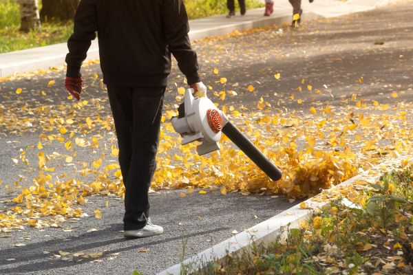 Cost of Commercial Leaf Removal in Salt Lake City