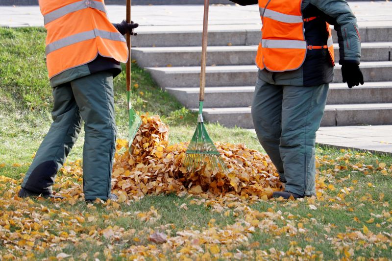 Fall leaf removal service