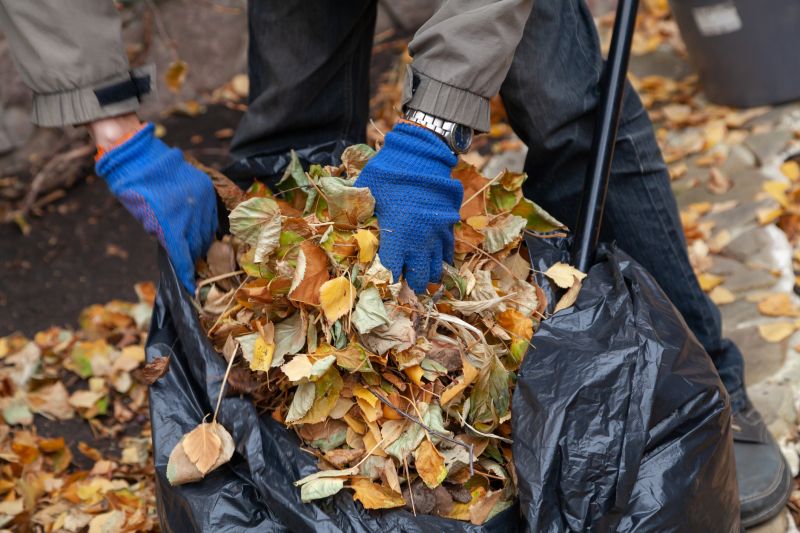 Community leaf removal efforts