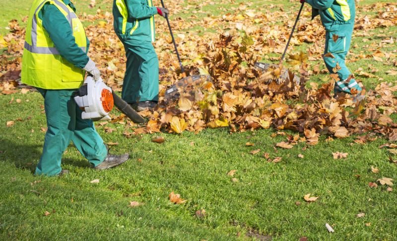Leaf Raking and Collection