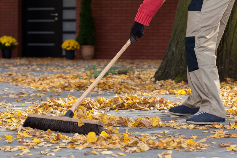 Leaves Vacuuming