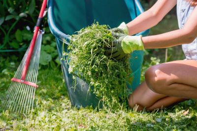 Products For Lawn Clean Up Service in use